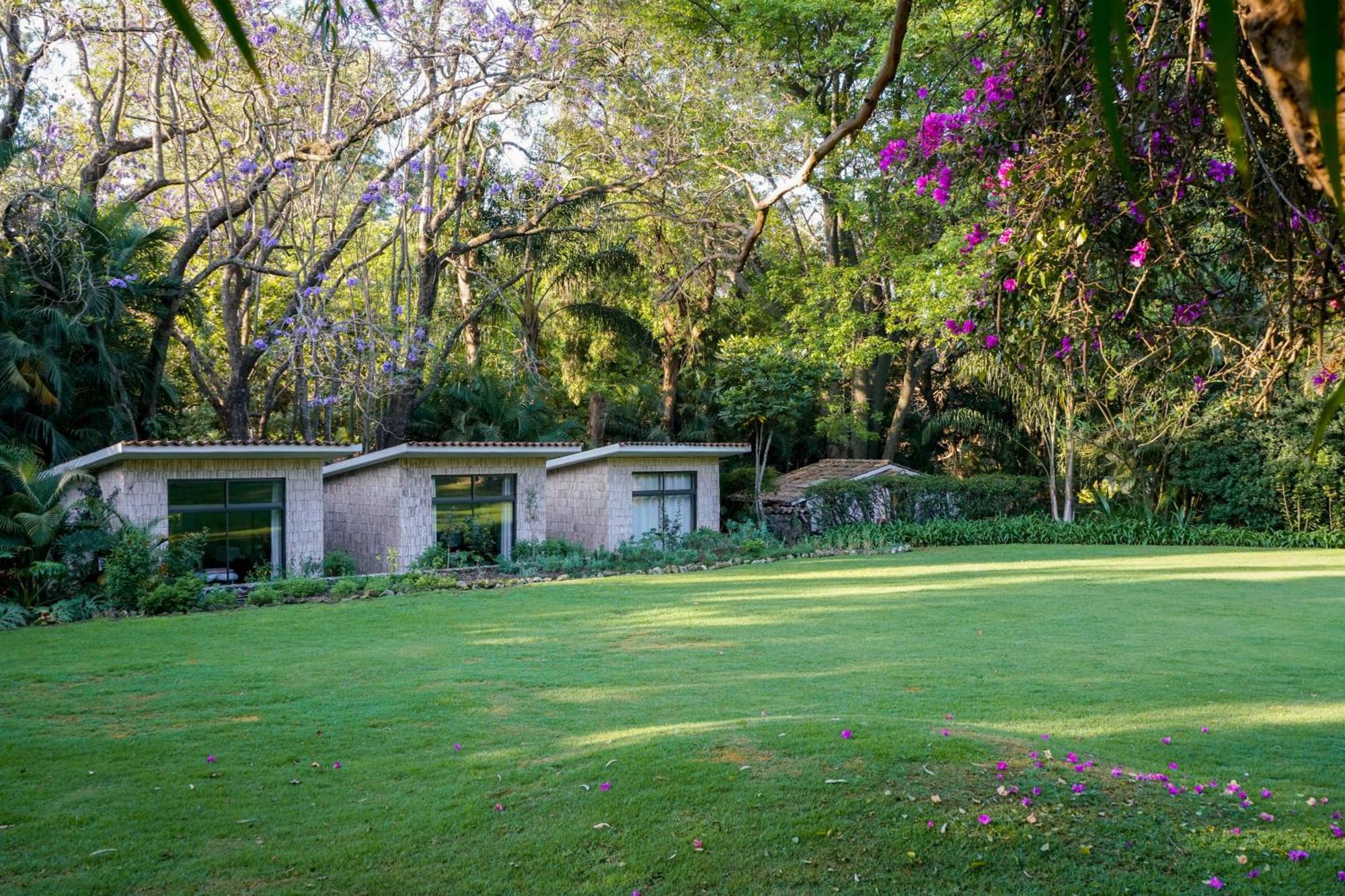 Amomoxtli Hotel Tepoztlán Exterior photo