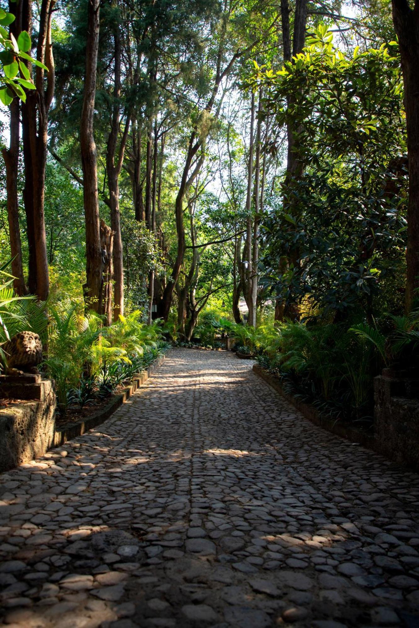 Amomoxtli Hotel Tepoztlán Exterior photo