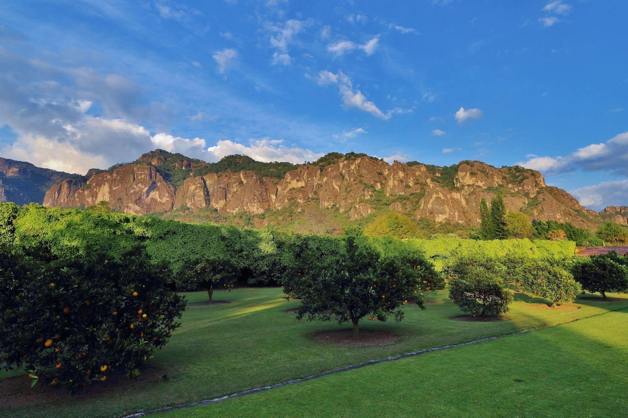 Amomoxtli Hotel Tepoztlán Exterior photo