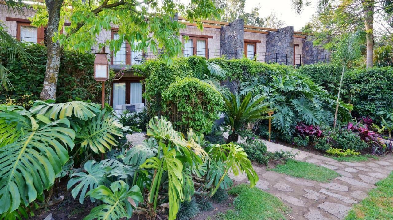 Amomoxtli Hotel Tepoztlán Exterior photo